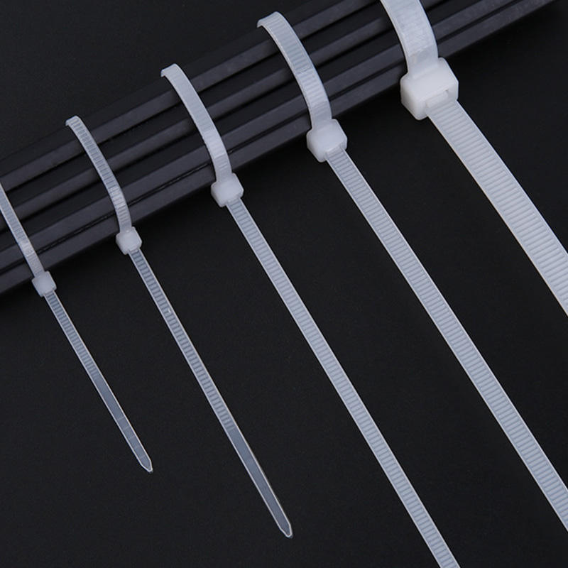 Tai Zhou Huangyan Plastic Self locking Nylon Cable Ties Injection Mould